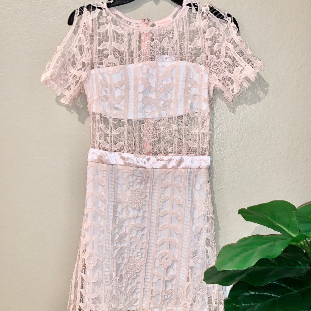 NWT Lace short sleeve pale pink dress, size M